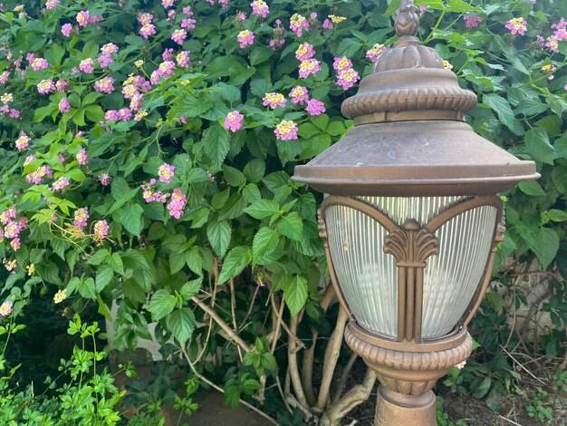 Jak zrobic lampę ogrodową stojącą z materiałów dostępnych w domu?