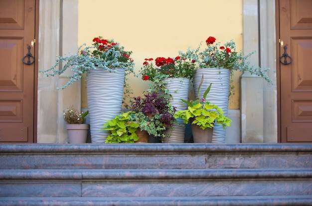 Kwiaty na balkon jak łączyć by cieszyć się kolorowym tarasem?