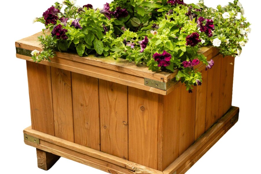 Jakie kwiaty do korytek na balkon sprawdzą się w cieniu?