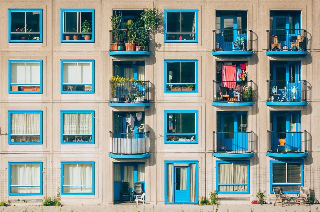 Jakie rośliny na balkon od wschodu sprawdzą się w polskich warunkach?